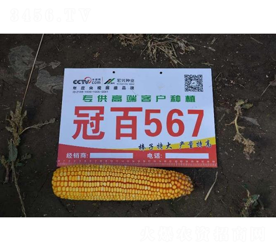 �ڰ�567-���׷N��-���S�N�I(y��)