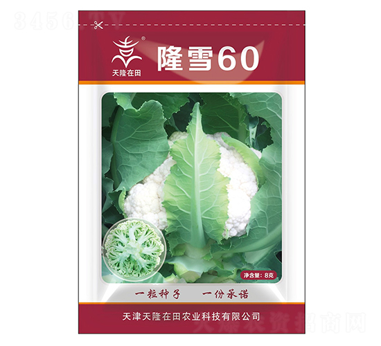 ¡ѩ60-��¡����-��¡�r(n��ng)�I(y��)