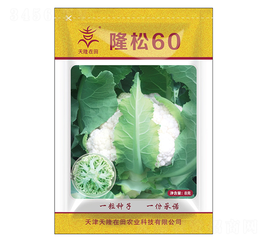 ¡��60-��¡����-��¡�r(n��ng)�I(y��)