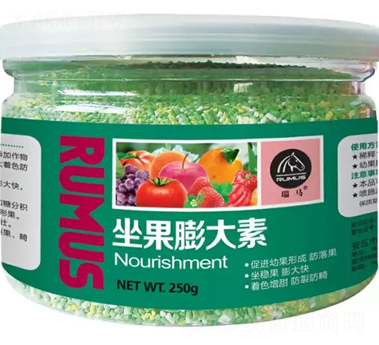 ���������-�̶�����