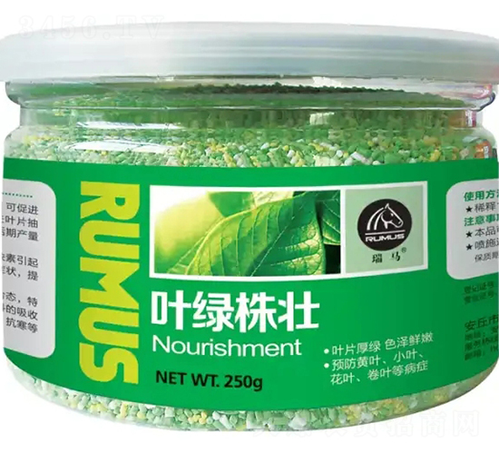 �~�G���-�̶�����