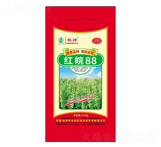 �t��88С���N��-����-�S���r(n��ng)�I(y��)