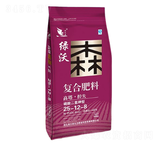 ���������͏�(f��)�Ϸ���25-12-8-�G��ɭ