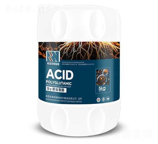 ��Y-�۹Ȱ���-�Pِ�Z