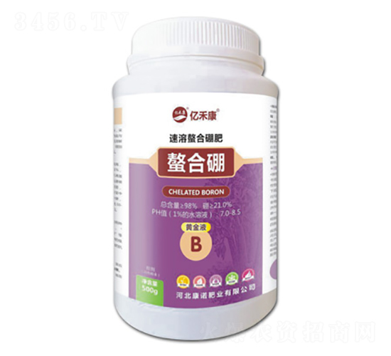 �����������-�|�̿�-���Z�ʘI(y��)