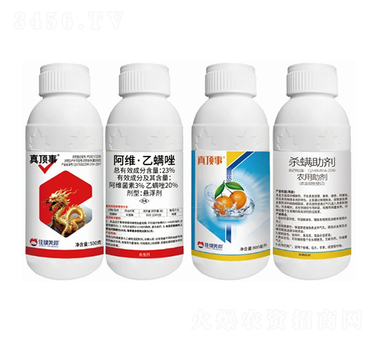 ���Լt��֩���Q����-�����