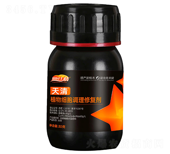 ���弚���{���ޏ̈́�-��@�S��-ͨ������