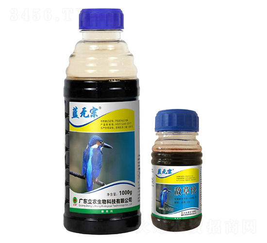 20%���ݿ�-�{(l��n)�o(w��)��-�V�|���r(n��ng)