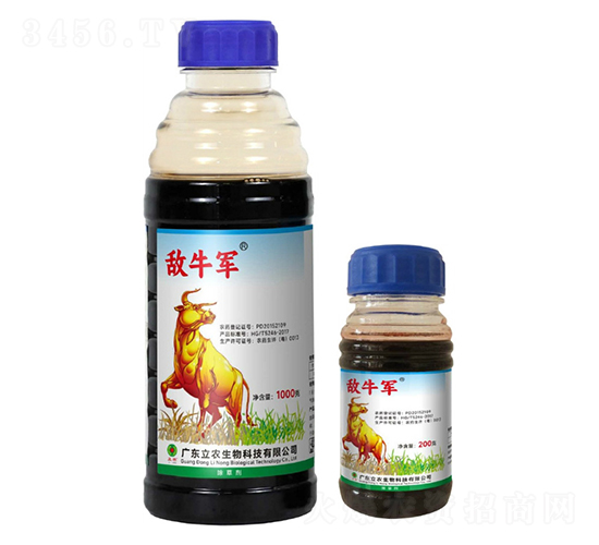 20%���ݿ�-��ţ܊-�V�|���r