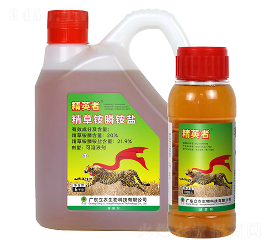 20%�����@�-��Ӣ��-�V�|���r(n��ng)