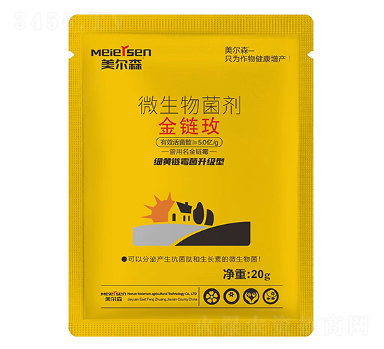 ΢�������-���õ-����ɭ