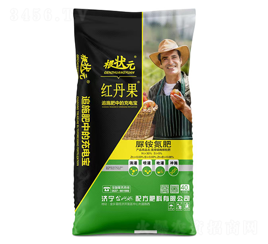 ���@����-����Ԫ-��W(w��ng)(li��n)