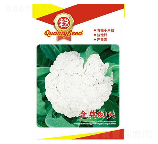 ���˷N��-���80��-���S�r(n��ng)�I(y��)