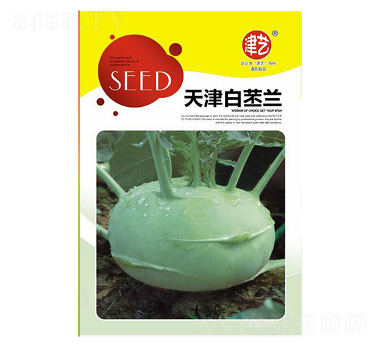 ���{�N��-�������{-���S�r�I(y��)