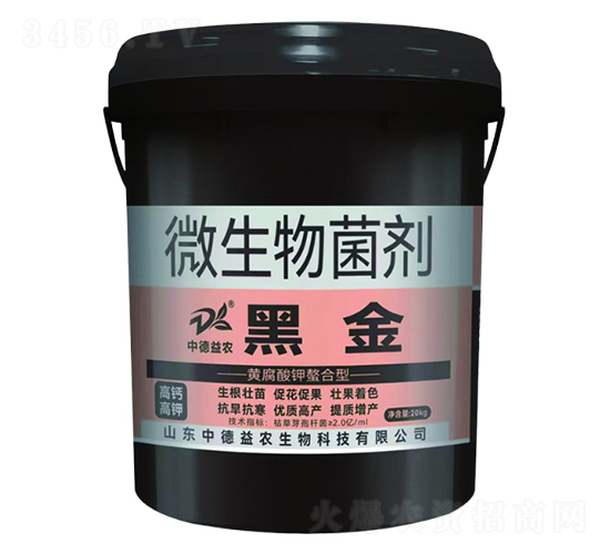 �S�����������΢�������-�ڽ�-�е����r(n��ng)