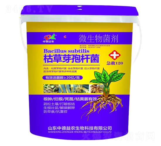 ����120�ݲ�ѿ�ߗU��-�е����r(n��ng)