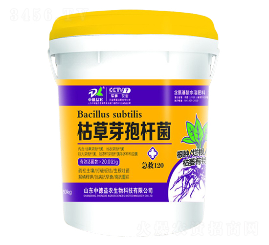 �ݲ�ѿ�ߗU��-����120-�е����r(n��ng)