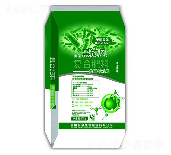 ��(f��)�Ϸ���-��������L(f��ng)-Ӣ��ؐ��-�е����r(n��ng)