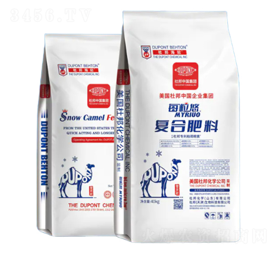 �ͺϷ���18-3-4-ÿ����-�Ű�