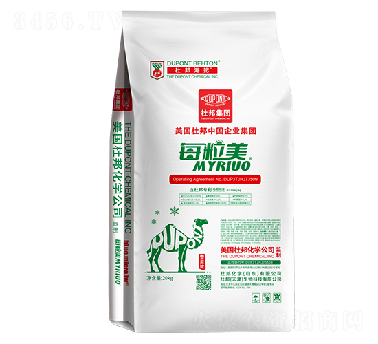 ÿ����-�Ű�