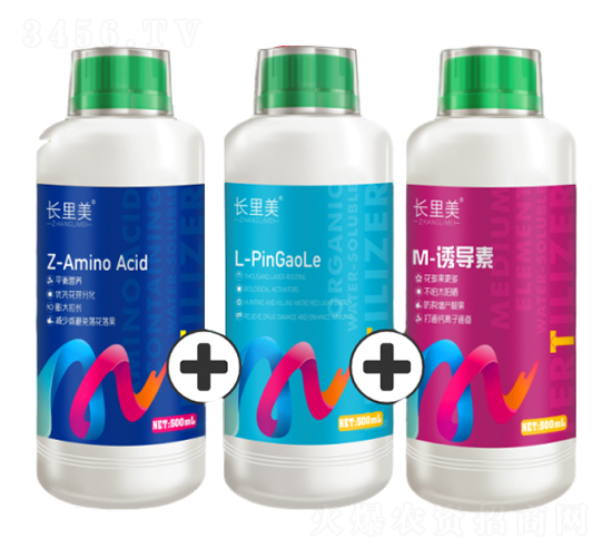 �L(zh��ng)����(Z+L+M)-����֮�G