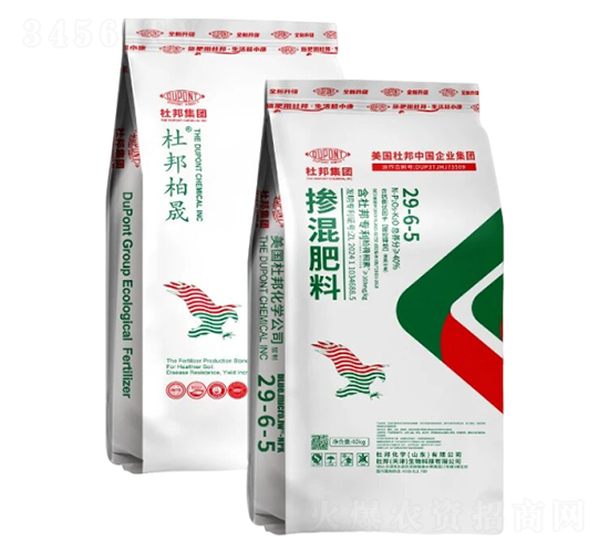 �������29-6-5-�Ű����-�Ű�