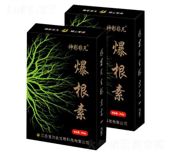 ������-��ʷǷ�-������