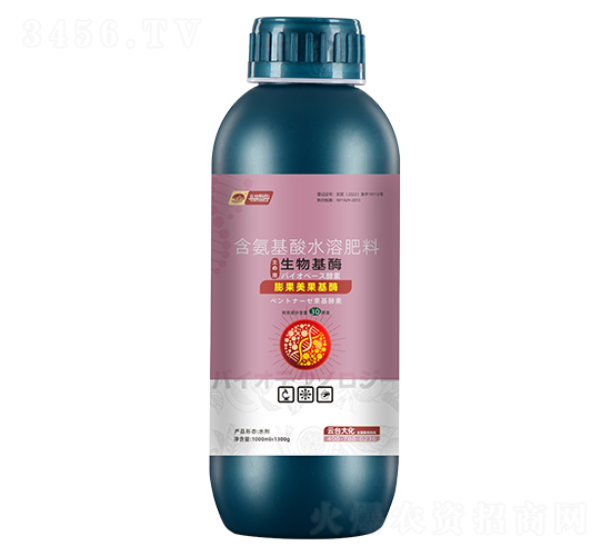 ���������ø-���_(t��i)��