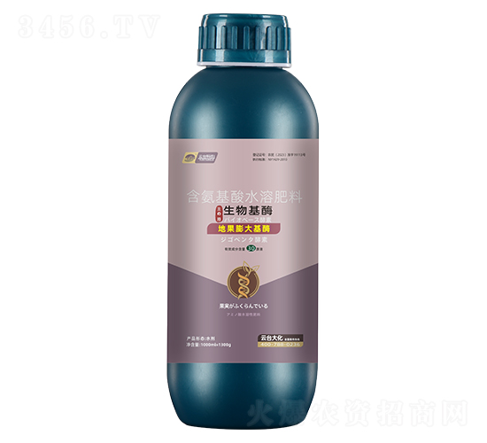 �ع�����ø-���_��