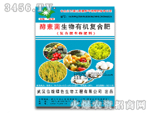 �Ͼ�������ؾ��ͺϷ���