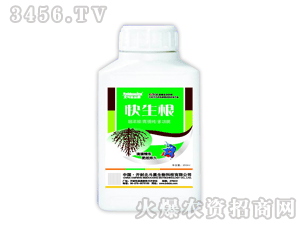 ������-������