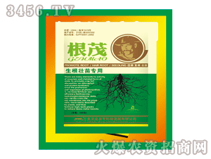 ��̩��-��ï