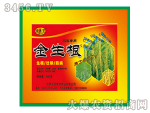 ��̩��-������