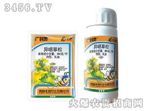 �V���`-���f����