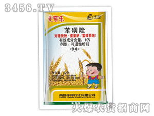 ������(l��)-����¡