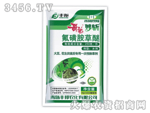 ������-���ǰ�����