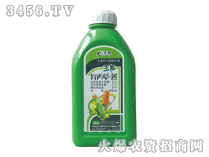 ����-������ݬ