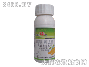 ������ܘ�-�ǲ�ݬȥ��