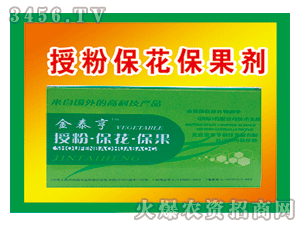 ��̩��-�ڷ۱���������