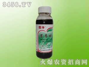 ����-˪�������A