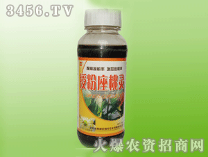 ����-����������