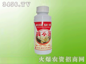 ����-�Ĳ���