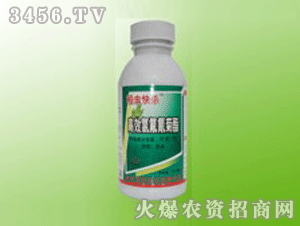 ����-���x(ch��ng)�욢