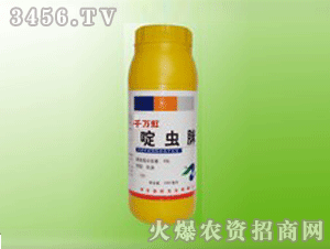 ����-ǧ�f(w��n)����x(ch��ng)��1000