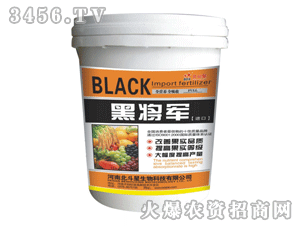 ������-�ڌ�܊