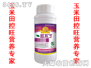 ������-������