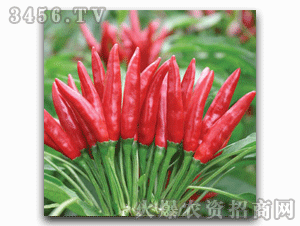 ϲ���S-�A��9̖(h��o)F1