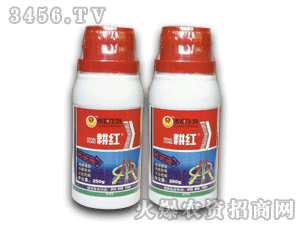 ̩�-���t250g