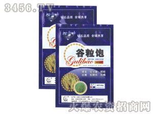 �ٴ�-�����