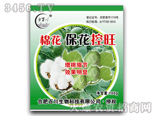 �ٴ�-�޻���������